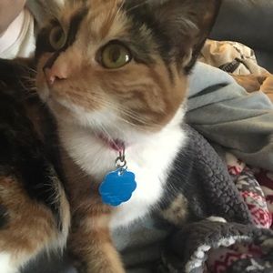 Meet your Posher, Sara